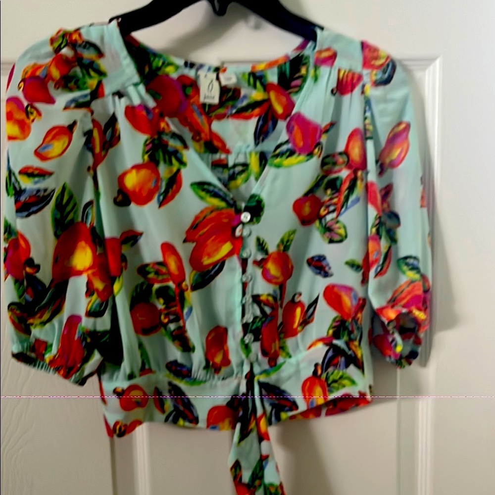 Joie Red and Green Puff Sleeve Blouse with Tie Front